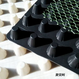 泉州车库30高耐根滤水保护层